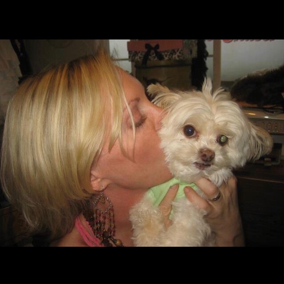 Meet your Posher, Kitty - Picture 9 of 17